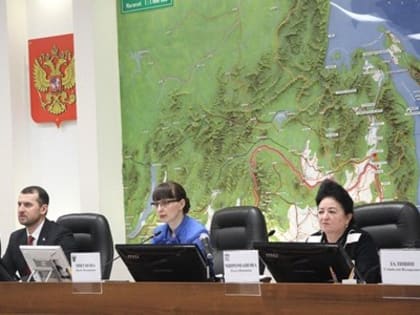 Депутаты поддержали самозанятых - Законодательная Дума Хабаровского края