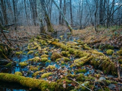 Семьям повышают выплаты по единому пособию с 1 января: новые суммы по регионам