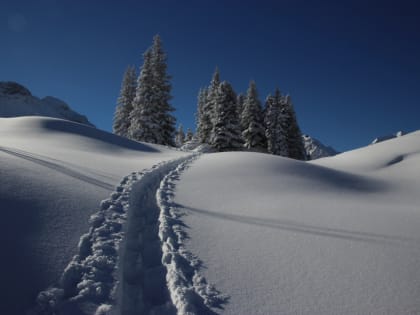 Гороскоп на 16 января: Стрельцам лучше поискать обходные пути