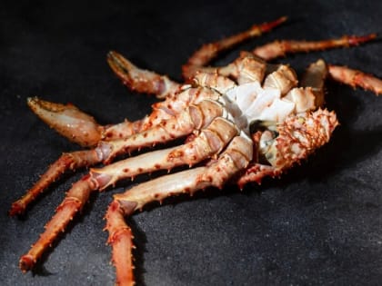 ФСБ задержала членов ОПГ, незаконно выловивших почти тонну краба в Татарском проливе