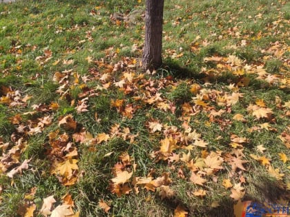 Циклон придет в воскресенье в Хабаровск