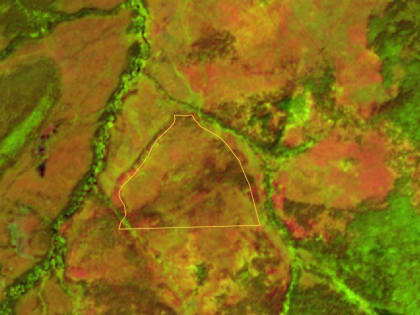 Проверка актов лесопатологического обследования насаждений при помощи дистанционного зондирования Земли