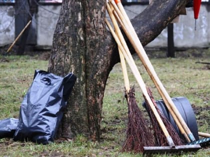 В Хабаровске стартовал двухмесячник по санитарной очистке