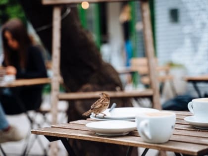 Регионы смогут убрать 