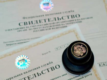 Как избежать исключения ИП из ЕГРИП