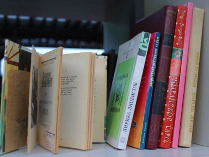 Полка для свободного книгообмена появилась на набережной Амура