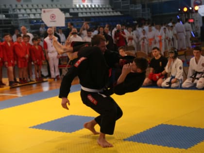 Масштабный турнир боевых искусств стартовал в Хабаровске