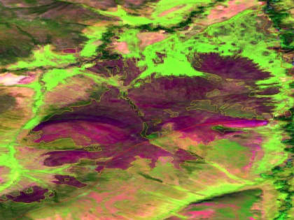 Результаты дистанционных наблюдений за санитарным и лесопатологическим состоянием лесов за 4 квартал 2023 года