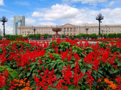 В Хабаровском медицинском институте ажиотаж на факультете психологии