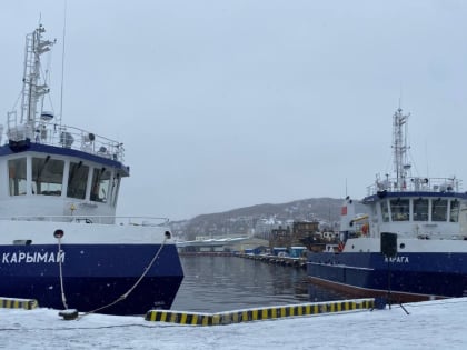 Рыбаки Хабаровского края приступили к промыслу минтая и сельди