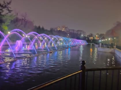 Пока вы спали: проблемы с ремонтом, Киев пугает и требует, летим в Грузию, дом для львёнка