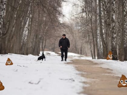 Убирать фекалии за собаками обяжут хабаровчан