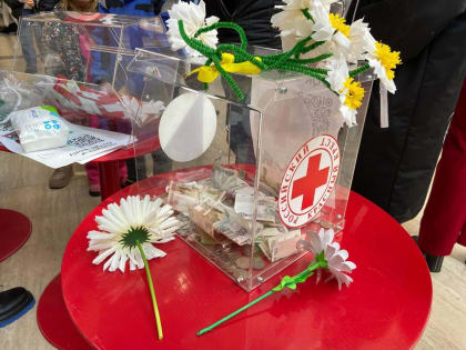 Белые ромашки продали в благотворительных целях в Хабаровске