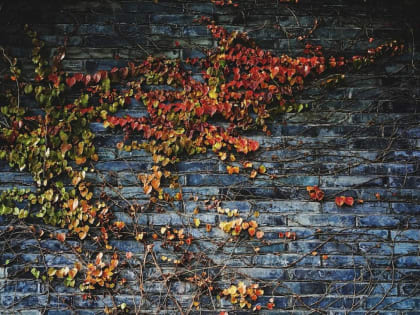 В Хабаровском крае - дожди  и ветер, который нельзя ругать