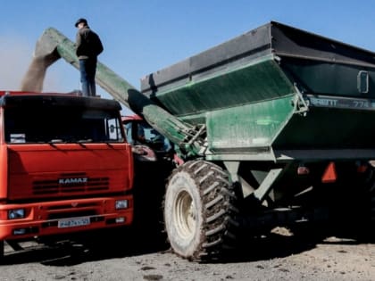 Студенты аграрных специальностей пройдут практику за счёт бюджета
