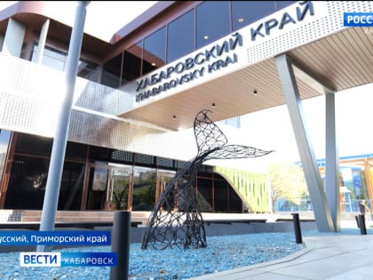 Деловая и культурная программа на ВЭФ