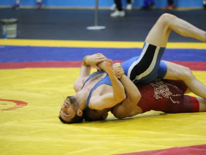 Всероссийские соревнования по спортивной борьбе пройдут в Хабаровске