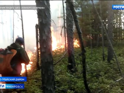 ЧС федерального значения могут ввести на территории Хабаровского края