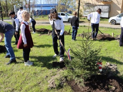 В Хабаровске высадили Педагогическую аллею на улице Аксенова