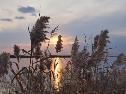 Лучшие фотографии Хабаровского края за неделю из соцсетей