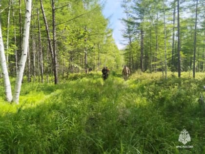 Поиски в Комсомольском районе завершены