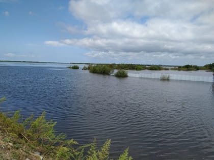 На нижнем Амуре продолжается подъем воды