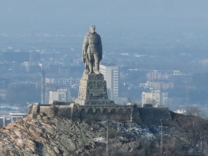 Хабаровчан приглашают принять участие в акции «Спасти «Алёшу»