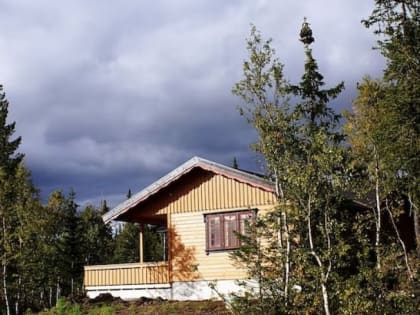 Дачникам сказали, до какого срока продлили дачную амнистию