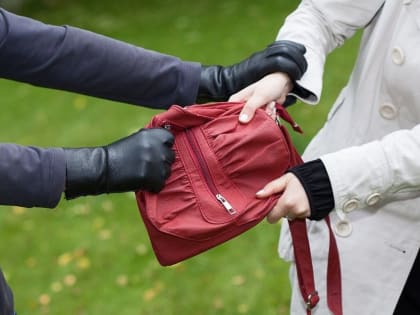 Хабаровчанку ограбили возле ее дома