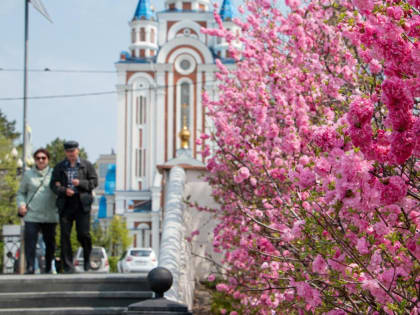 День Победы в Хабаровске выдастся ветреным, но тёплым