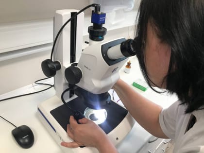 В Хабаровском крае впервые выявлена карантинная нематода