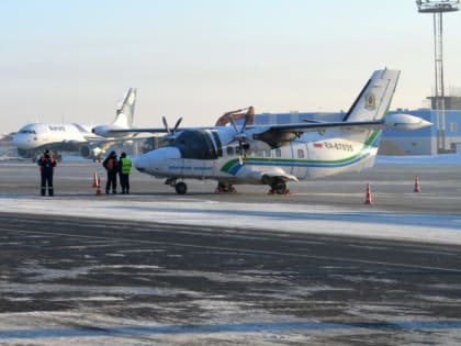 Самолёт «Хабавиа» прервал рейс из-за попадания птицы в лобовое стекло