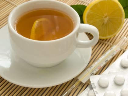 В Хабаровске заболеваемость ОРВИ снизилась на 13%