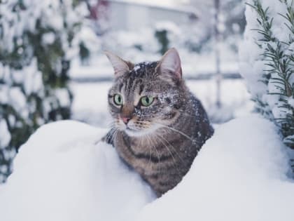 В выходные в Хабаровском крае наступит перелом зимы