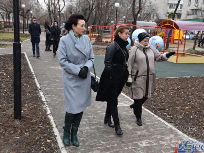 Общественники одобрили новый сквер в Хабаровске