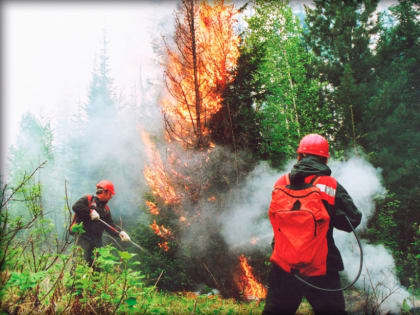 17 лесных пожаров тушат в Хабаровском крае