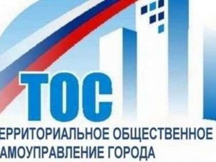 7 ТОСов Центрального округа Комсомольска приняли участие в краевом конкурсе грантовых проектов