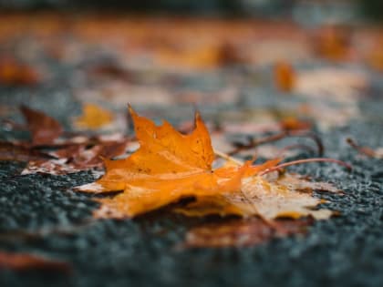 В Хабаровский край идут дожди и минусовые температуры