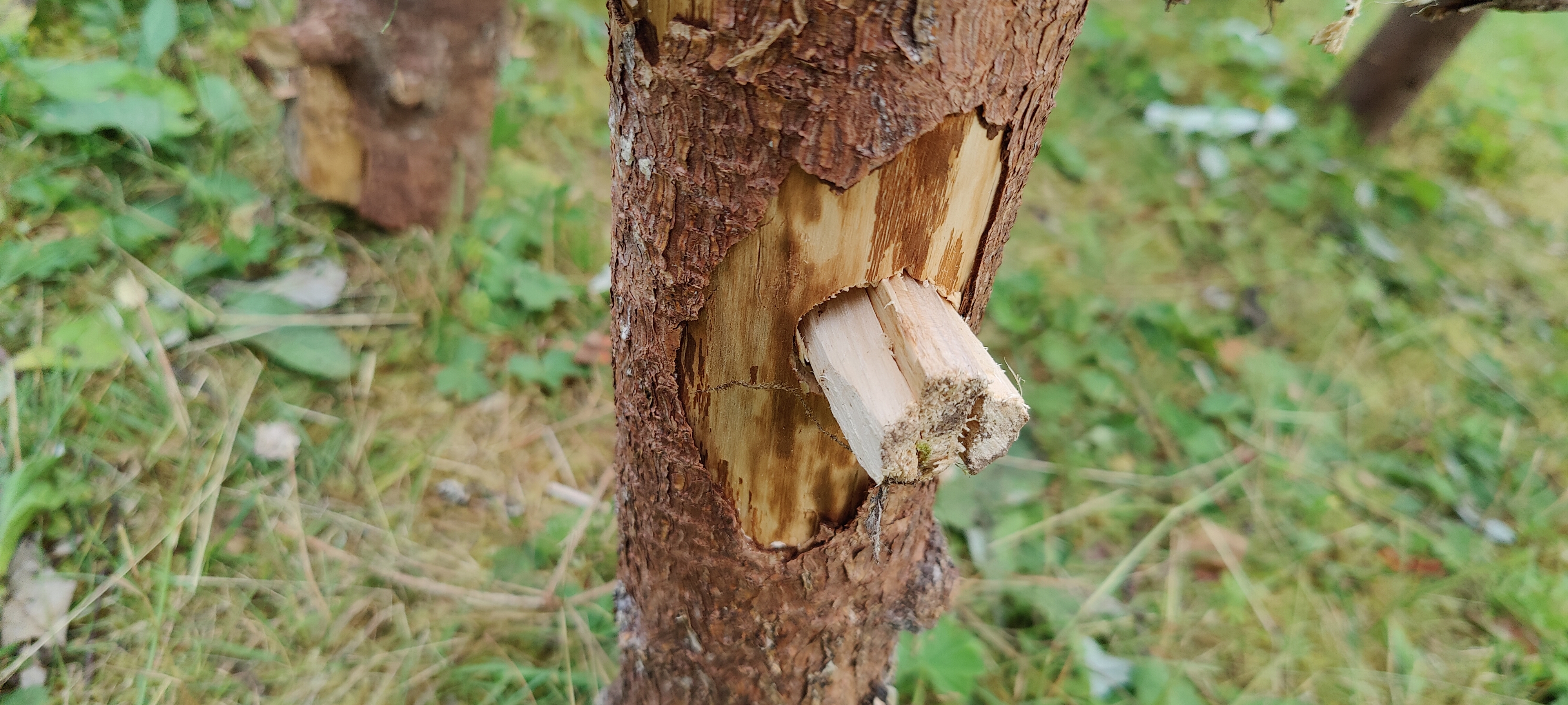 Wedged (and super strong) joint