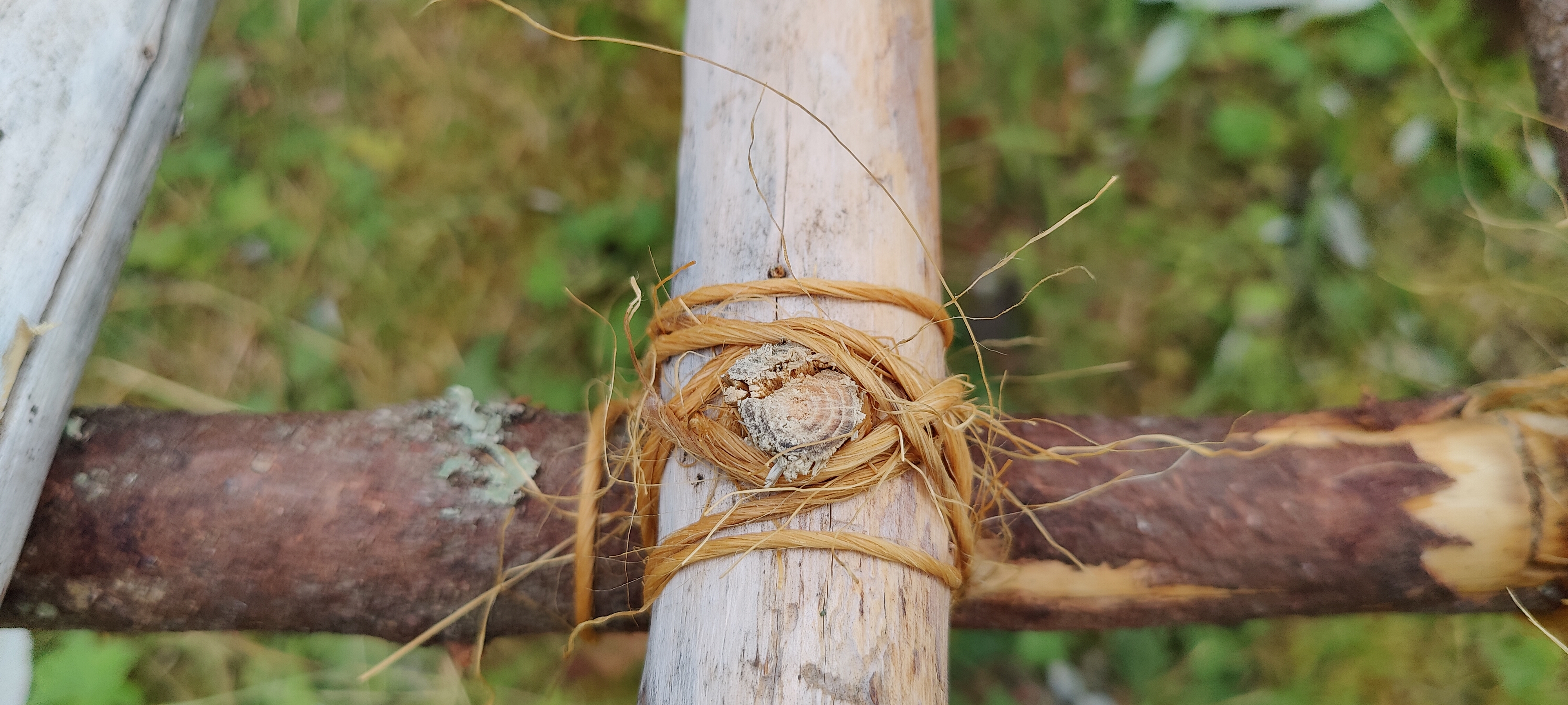 String and wooden plugs were utilized in many places