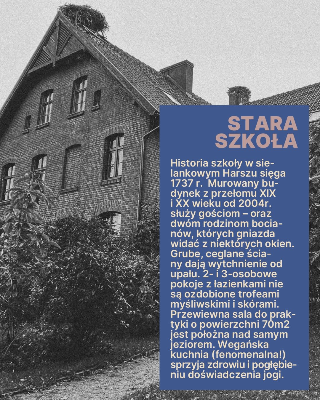 WYPRAWA PO SENS joga kamp