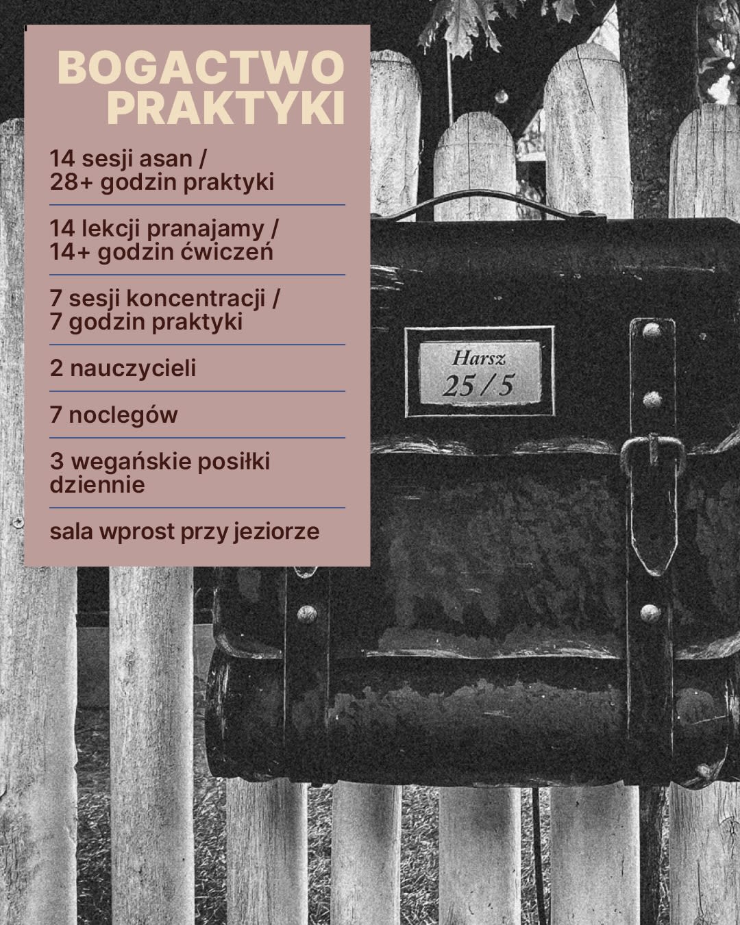 WYPRAWA PO SENS joga kamp