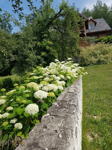“W Objęciach Żywiołów — Powrót do Źródła” Retreat Kundalini