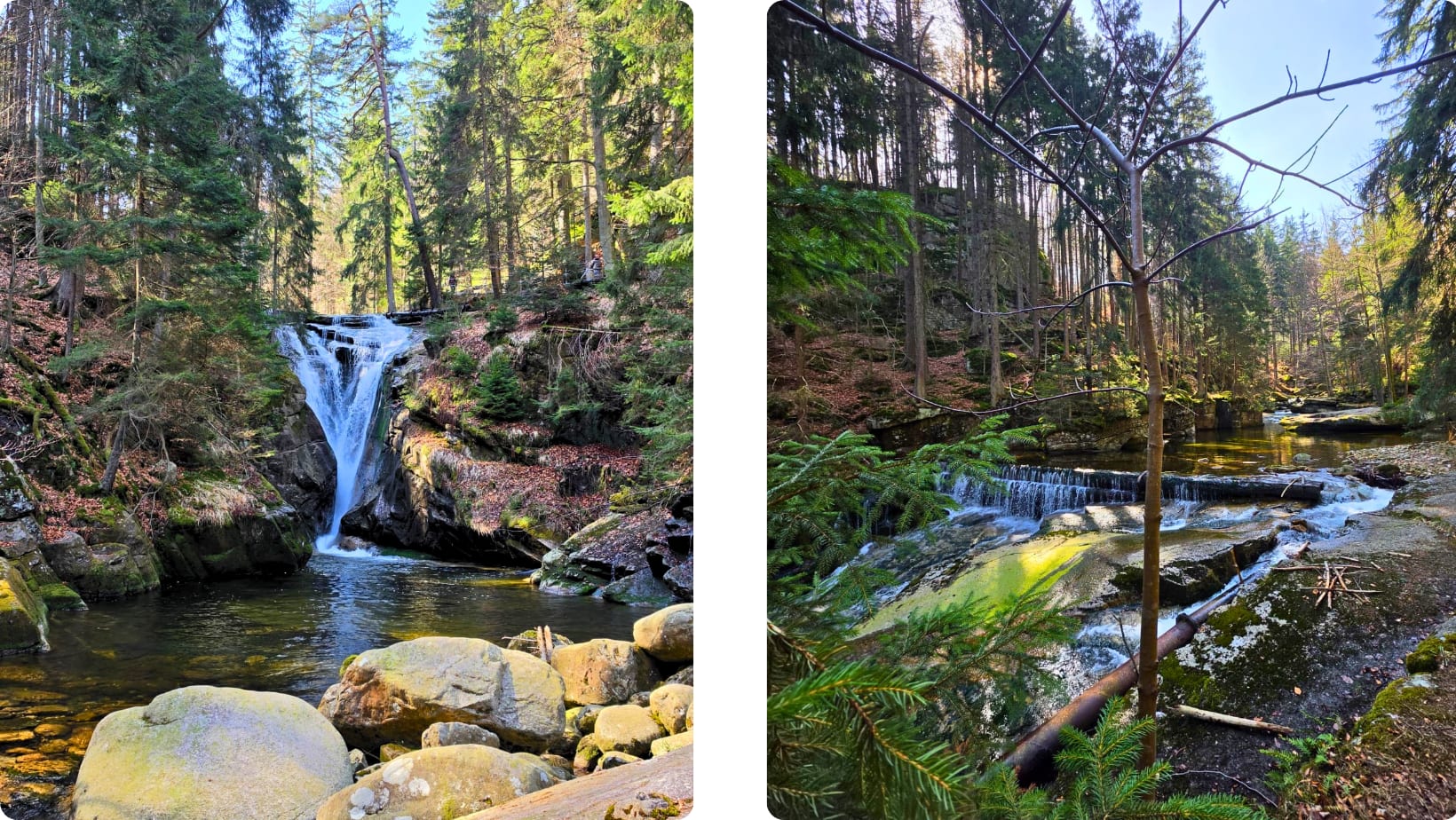Podróż w głąb siebie - retreat z wykładami Thay Thien Son, jogą i medytacją