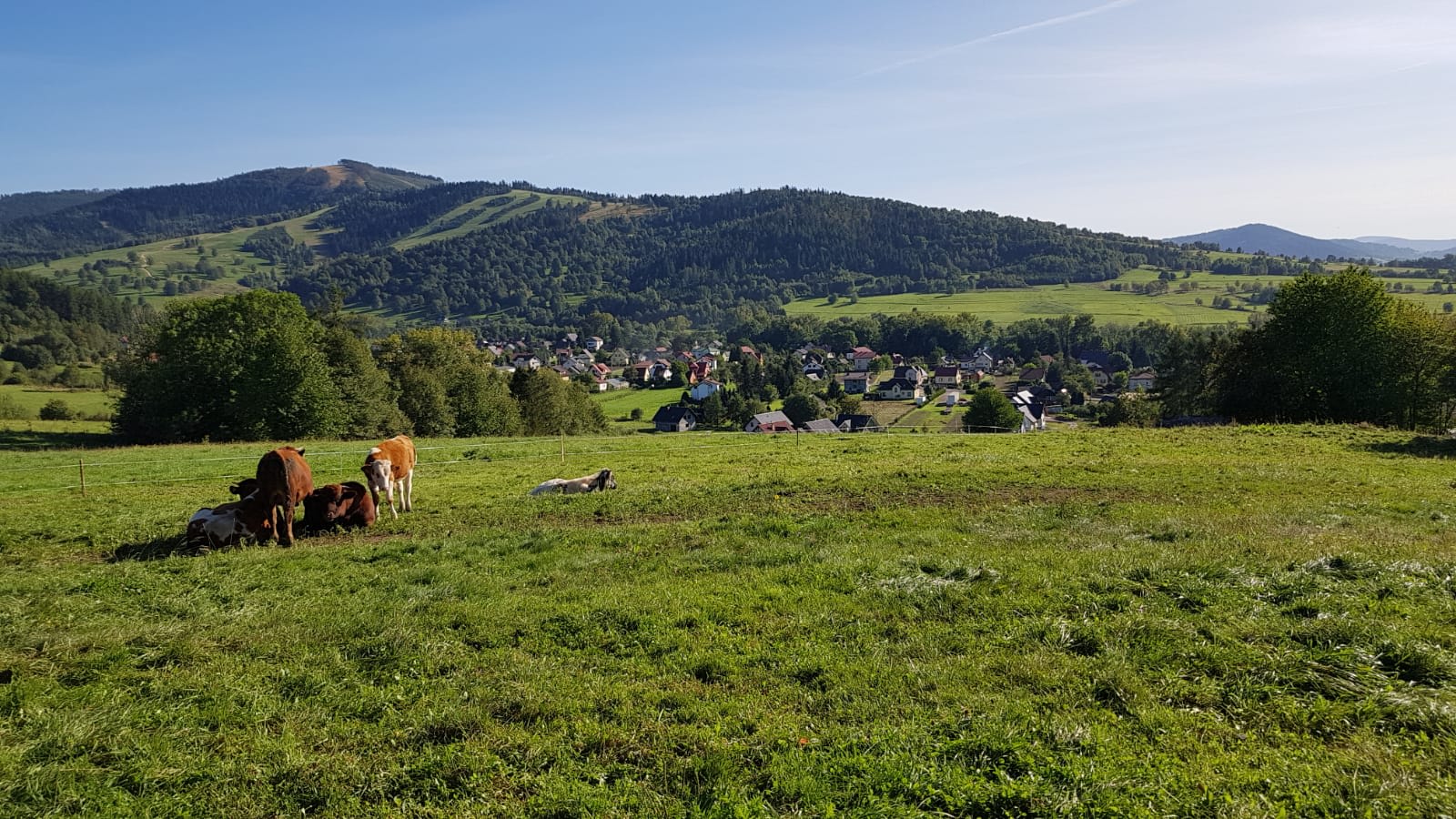Weekend z Jogą i Pilatesem – Październik 2026 5