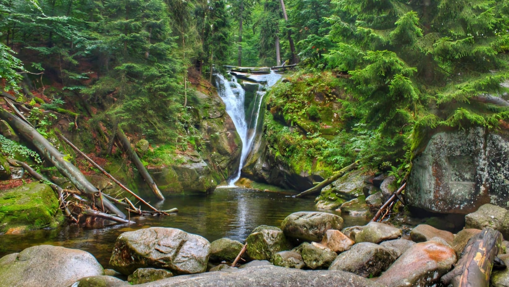 Podróż w głąb siebie - retreat z wykładami Thay Thien Son, jogą i medytacją