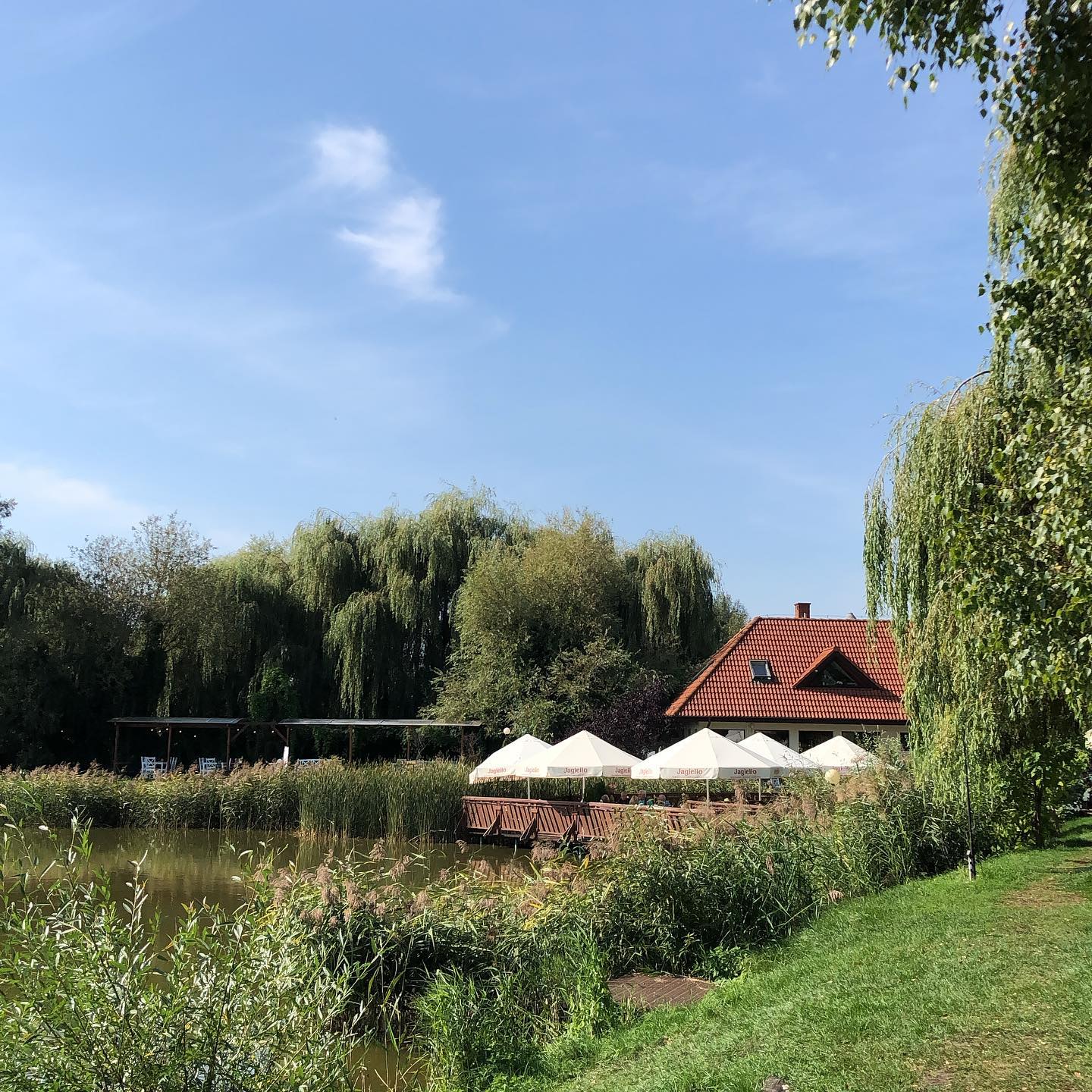 DAJ SE joga & fitness weekend