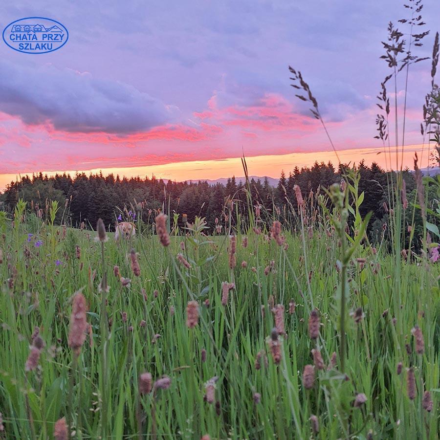 Majówka z jogą w Chacie Przy Szlaku