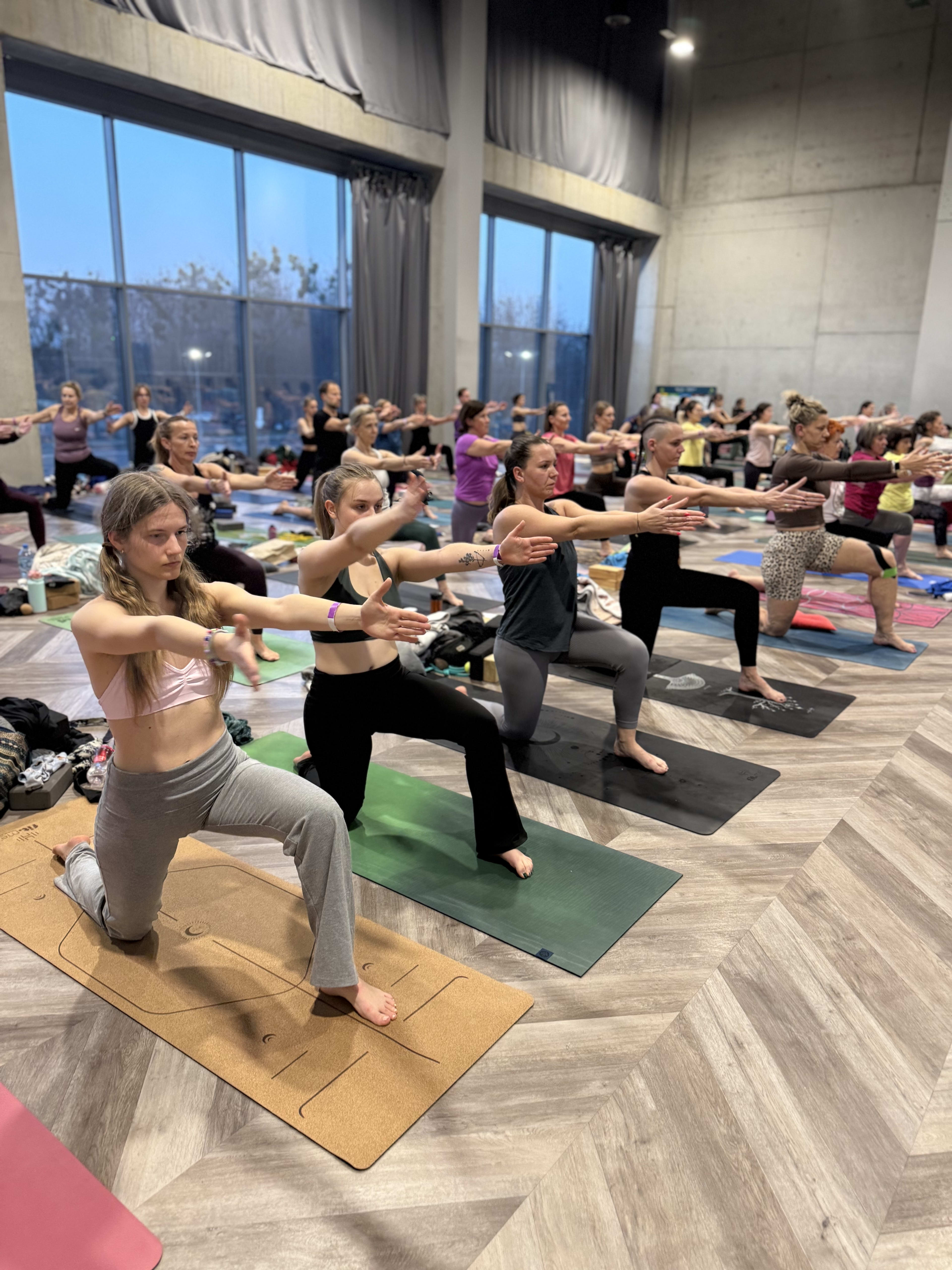 VII Śląski Festiwal Jogi