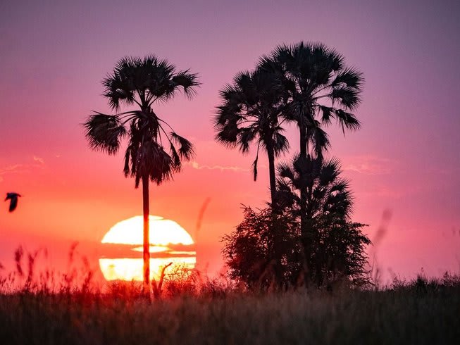 Warsztaty pracy z ciałem wg metody Lowena 